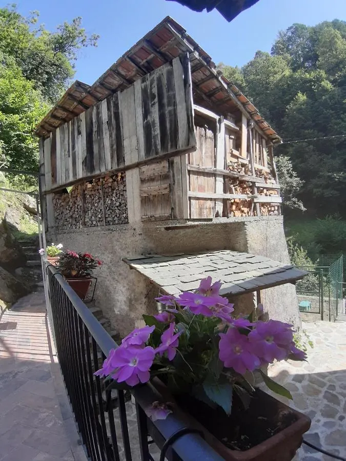 Il Mulino Di Aurora Bed & Breakfast Dosso del Liro